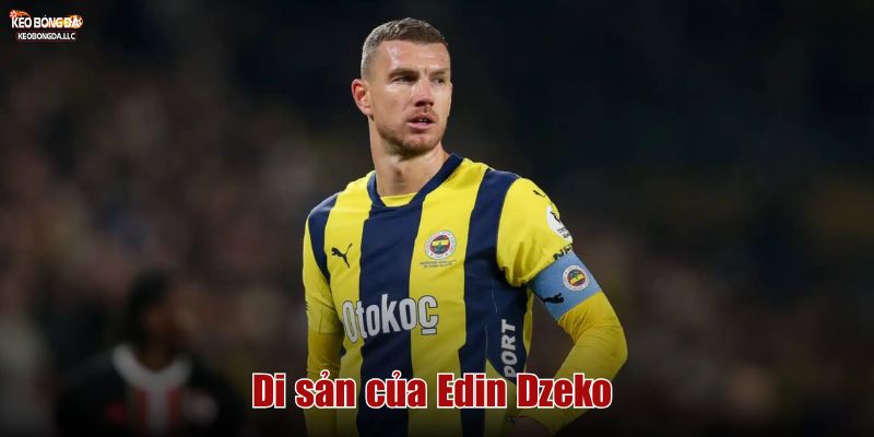 Di sản của Edin Džeko
