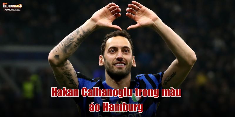 Hakan Calhanoglu trong màu áo Hamburg