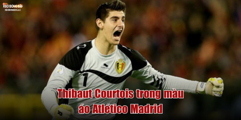 Thibaut Courtois trong màu áo Atlético Madrid