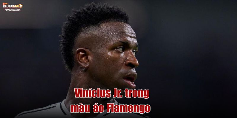 Vinícius Jr. trong màu áo Flamengo