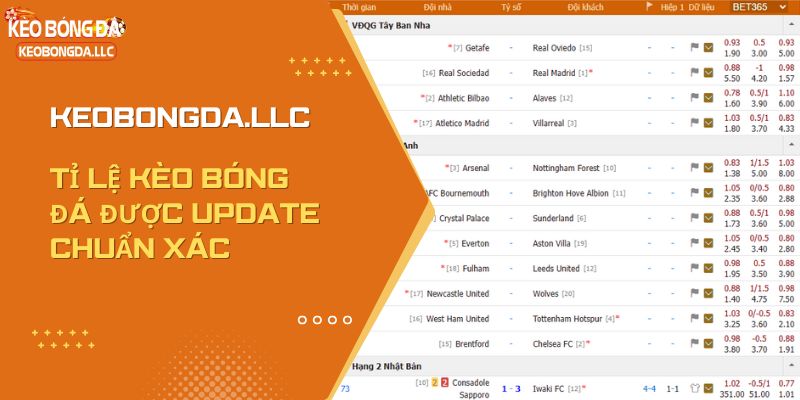 Tỉ lệ kèo bóng đá được keobongda.llc update chuẩn xác